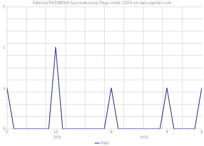 Patrizia PASSERINI (Luxembourg) Page visits 2024 