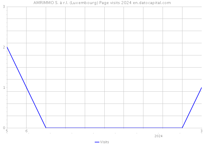 AMRIMMO S. à r.l. (Luxembourg) Page visits 2024 