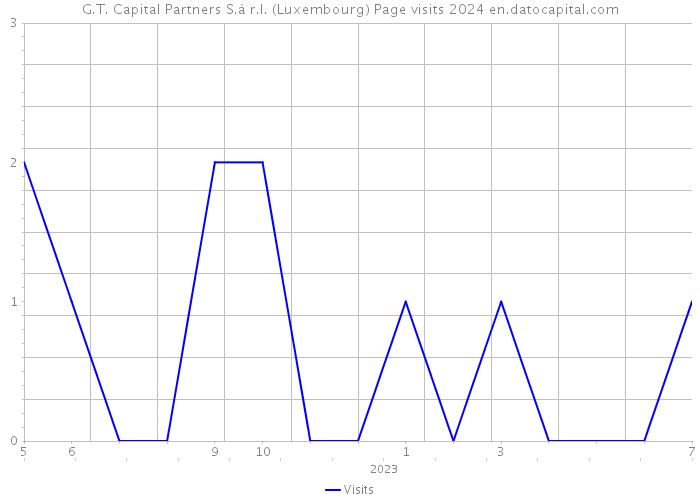 G.T. Capital Partners S.à r.l. (Luxembourg) Page visits 2024 
