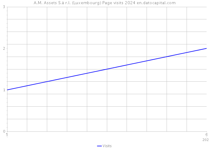 A.M. Assets S.à r.l. (Luxembourg) Page visits 2024 