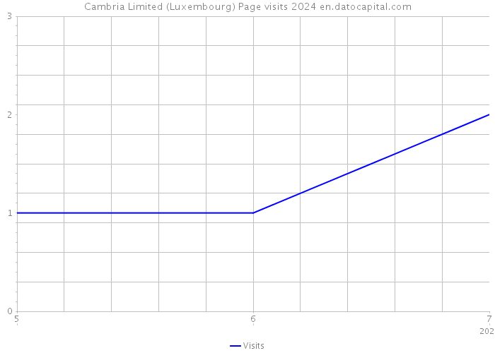 Cambria Limited (Luxembourg) Page visits 2024 