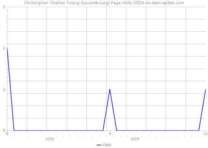 Christopher Charles Young (Luxembourg) Page visits 2024 
