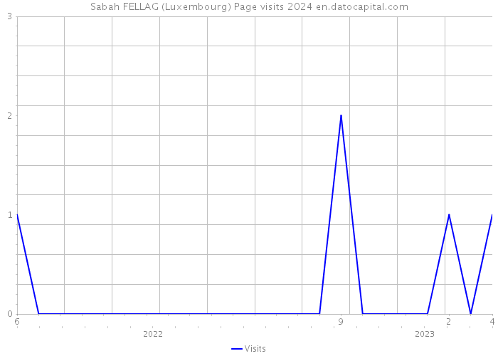 Sabah FELLAG (Luxembourg) Page visits 2024 