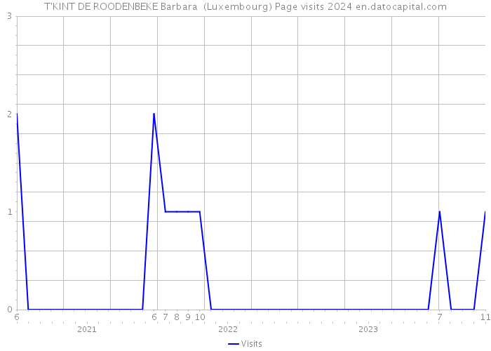 T'KINT DE ROODENBEKE Barbara (Luxembourg) Page visits 2024 
