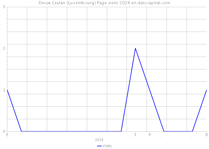 Derya Ceylan (Luxembourg) Page visits 2024 