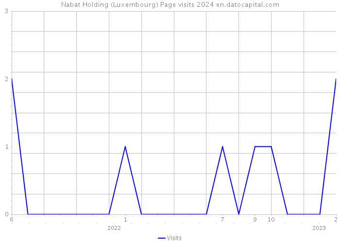 Nabat Holding (Luxembourg) Page visits 2024 