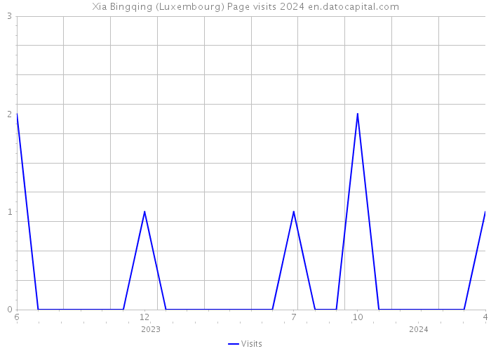 Xia Bingqing (Luxembourg) Page visits 2024 