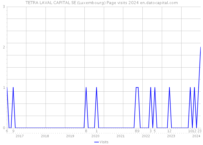 TETRA LAVAL CAPITAL SE (Luxembourg) Page visits 2024 