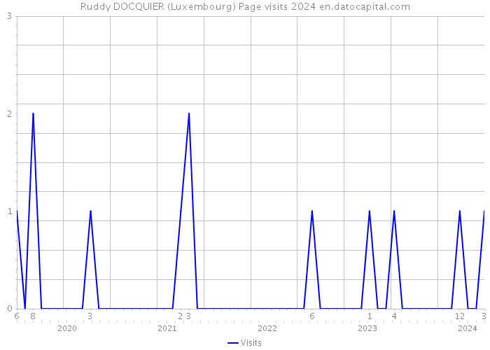 Ruddy DOCQUIER (Luxembourg) Page visits 2024 