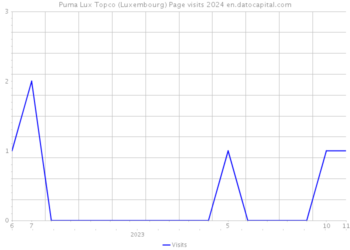 Puma Lux Topco (Luxembourg) Page visits 2024 