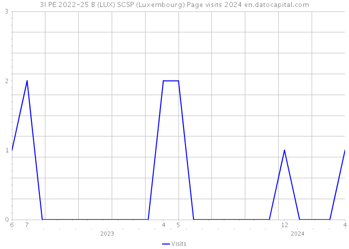 3I PE 2022-25 B (LUX) SCSP (Luxembourg) Page visits 2024 