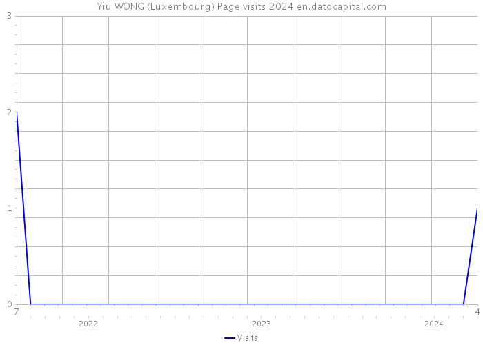 Yiu WONG (Luxembourg) Page visits 2024 