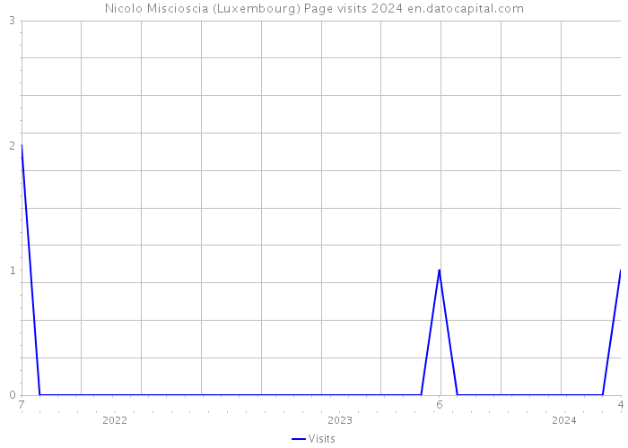 Nicolo Miscioscia (Luxembourg) Page visits 2024 