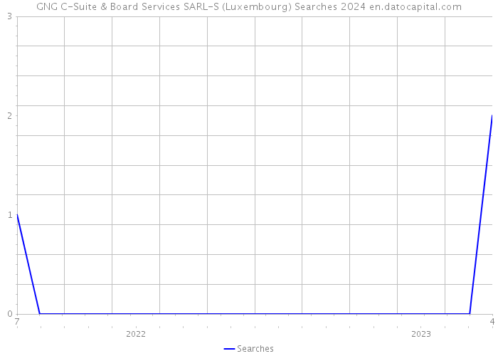 GNG C-Suite & Board Services SARL-S (Luxembourg) Searches 2024 
