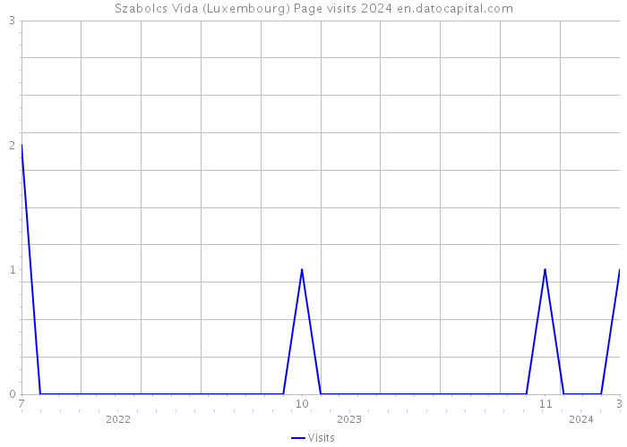Szabolcs Vida (Luxembourg) Page visits 2024 