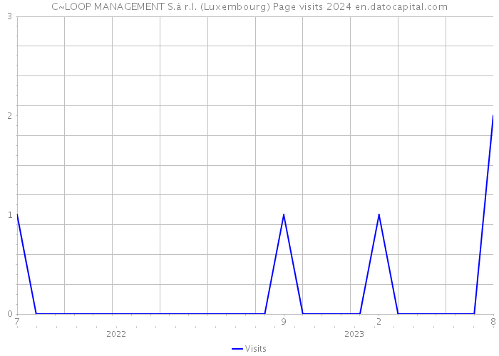 C~LOOP MANAGEMENT S.à r.l. (Luxembourg) Page visits 2024 