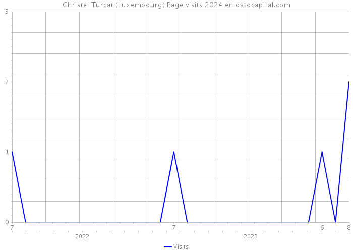Christel Turcat (Luxembourg) Page visits 2024 
