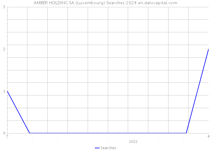 AMBER HOLDING SA (Luxembourg) Searches 2024 