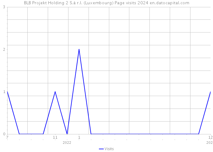 BLB Projekt Holding 2 S.à r.l. (Luxembourg) Page visits 2024 
