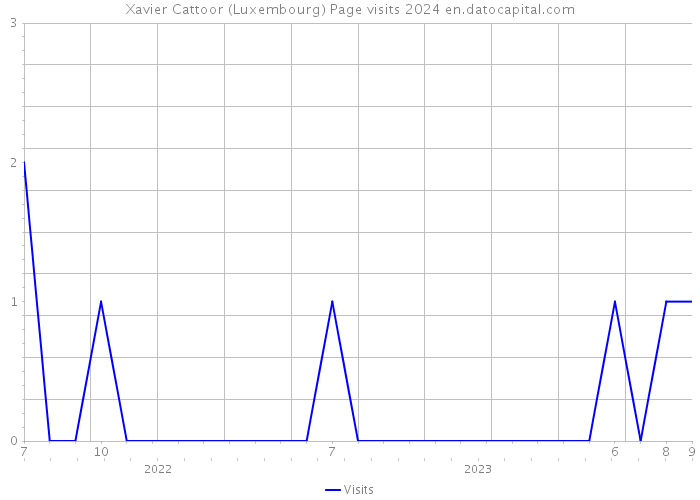 Xavier Cattoor (Luxembourg) Page visits 2024 