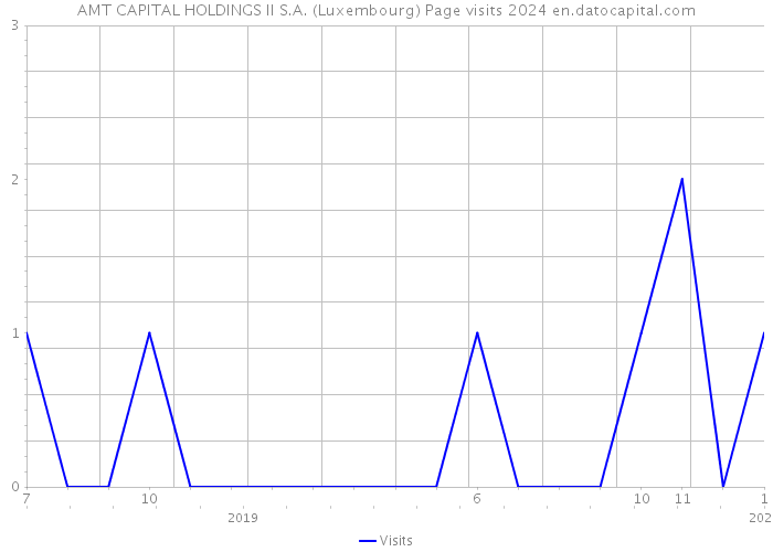 AMT CAPITAL HOLDINGS II S.A. (Luxembourg) Page visits 2024 