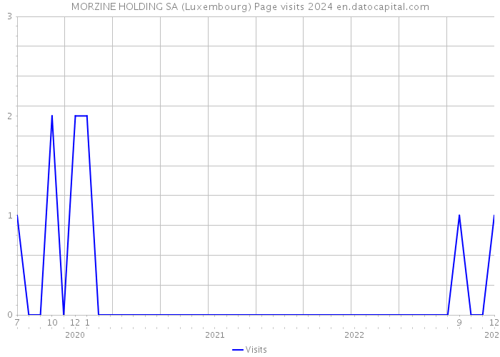 MORZINE HOLDING SA (Luxembourg) Page visits 2024 