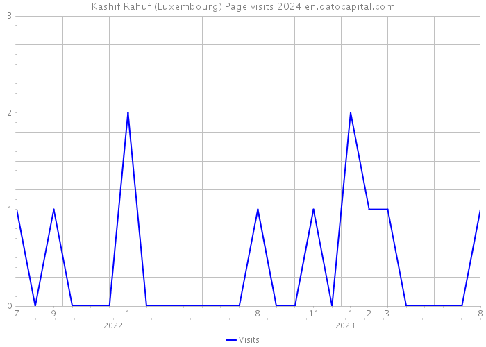 Kashif Rahuf (Luxembourg) Page visits 2024 