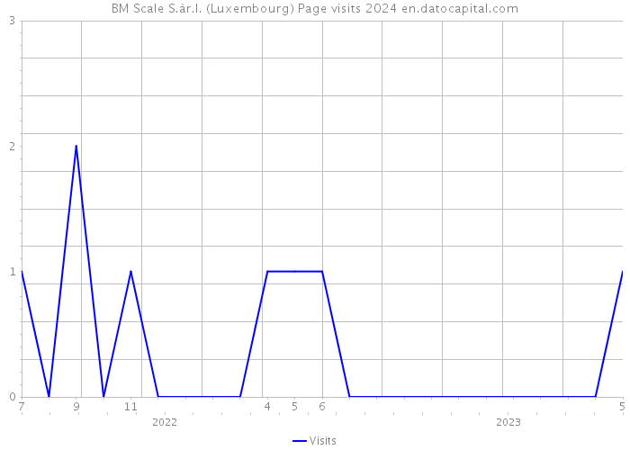 BM Scale S.àr.l. (Luxembourg) Page visits 2024 