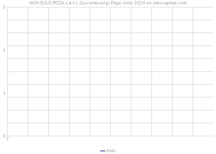 NON SOLO PIZZA s.à r.l. (Luxembourg) Page visits 2024 