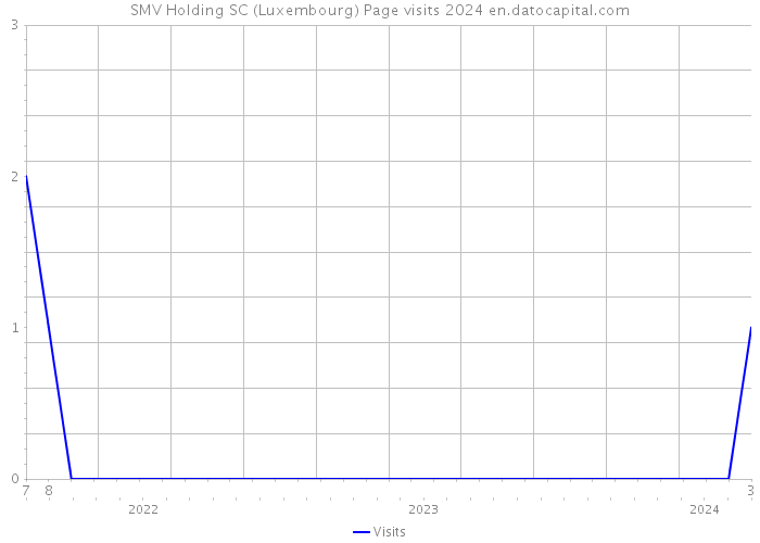 SMV Holding SC (Luxembourg) Page visits 2024 