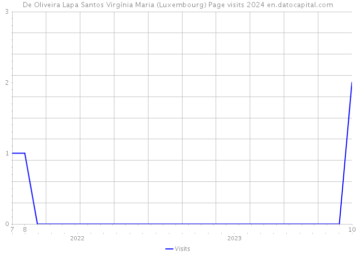 De Oliveira Lapa Santos Virgínia Maria (Luxembourg) Page visits 2024 