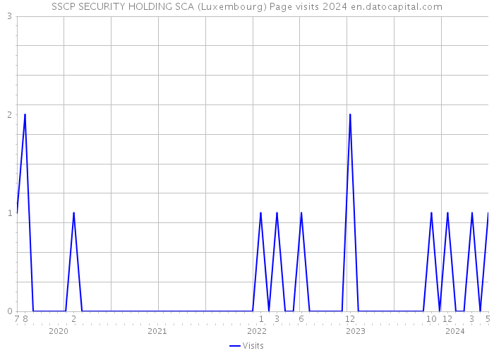 SSCP SECURITY HOLDING SCA (Luxembourg) Page visits 2024 
