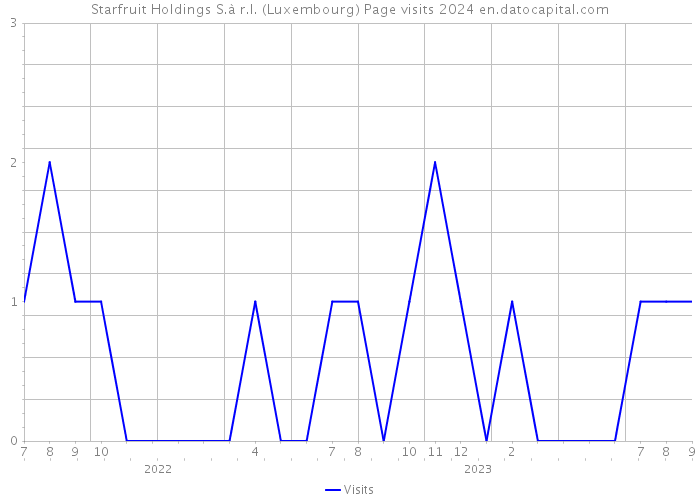 Starfruit Holdings S.à r.l. (Luxembourg) Page visits 2024 