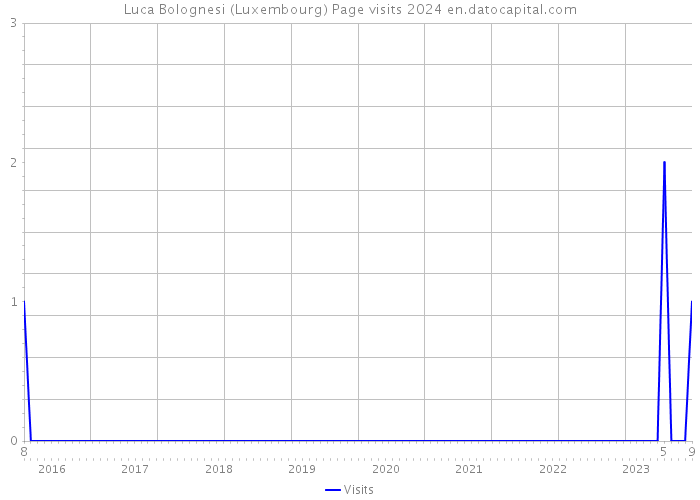 Luca Bolognesi (Luxembourg) Page visits 2024 