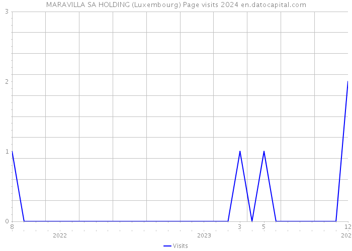 MARAVILLA SA HOLDING (Luxembourg) Page visits 2024 