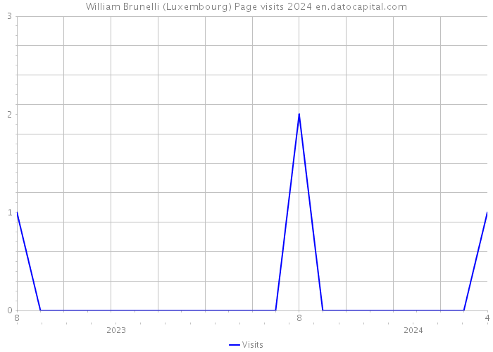William Brunelli (Luxembourg) Page visits 2024 