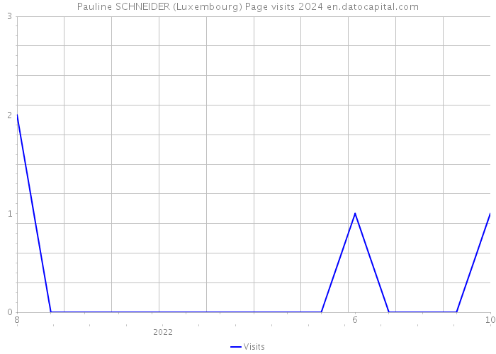 Pauline SCHNEIDER (Luxembourg) Page visits 2024 