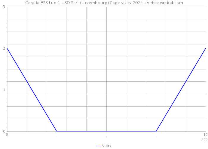Capula ESS Lux 1 USD Sarl (Luxembourg) Page visits 2024 