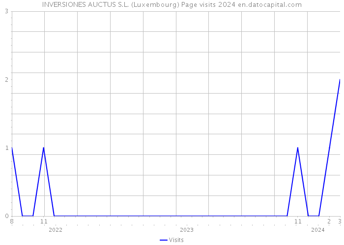 INVERSIONES AUCTUS S.L. (Luxembourg) Page visits 2024 