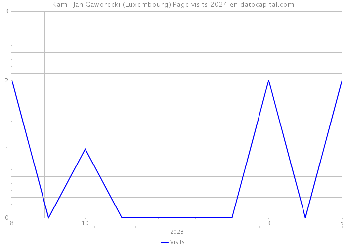 Kamil Jan Gaworecki (Luxembourg) Page visits 2024 
