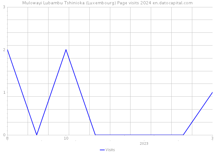 Mulowayi Lubambu Tshinioka (Luxembourg) Page visits 2024 