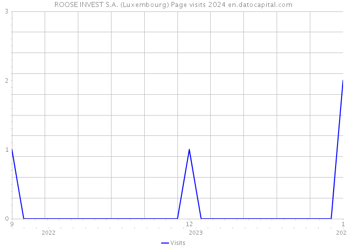 ROOSE INVEST S.A. (Luxembourg) Page visits 2024 