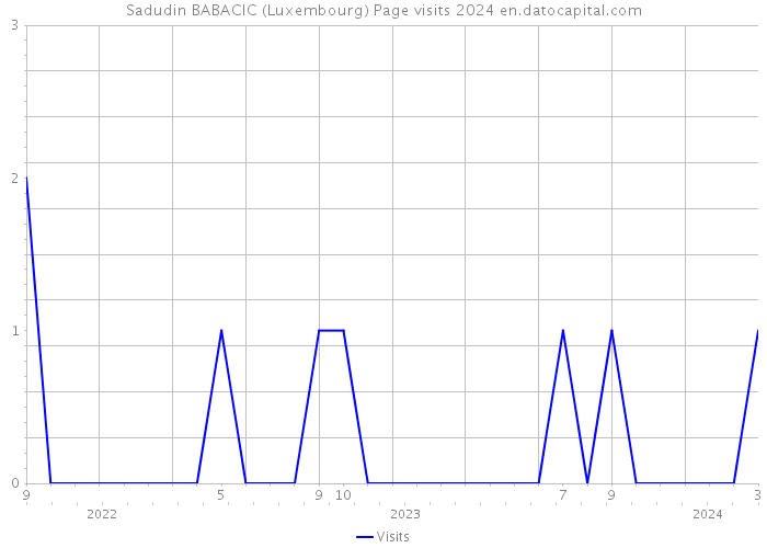 Sadudin BABACIC (Luxembourg) Page visits 2024 