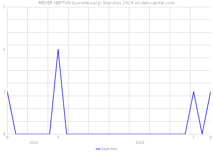 MEYER NEPTUN (Luxembourg) Searches 2024 