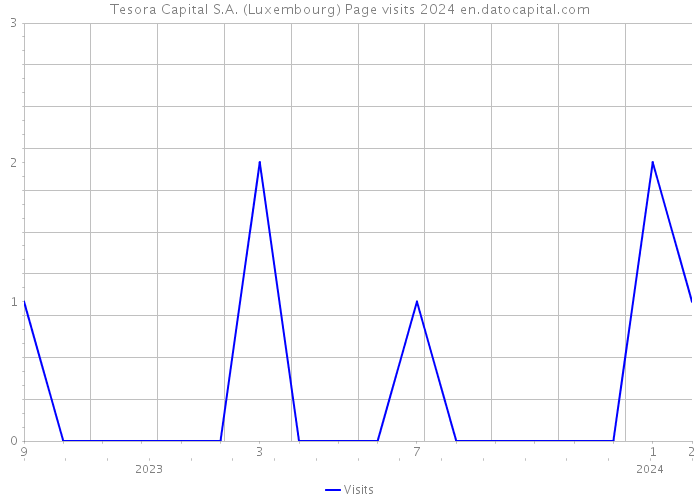Tesora Capital S.A. (Luxembourg) Page visits 2024 