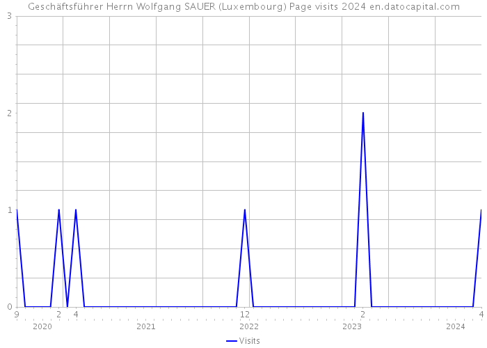 Geschäftsführer Herrn Wolfgang SAUER (Luxembourg) Page visits 2024 