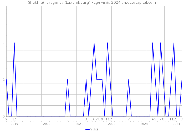 Shukhrat Ibragimov (Luxembourg) Page visits 2024 