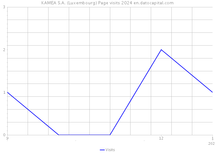 KAMEA S.A. (Luxembourg) Page visits 2024 
