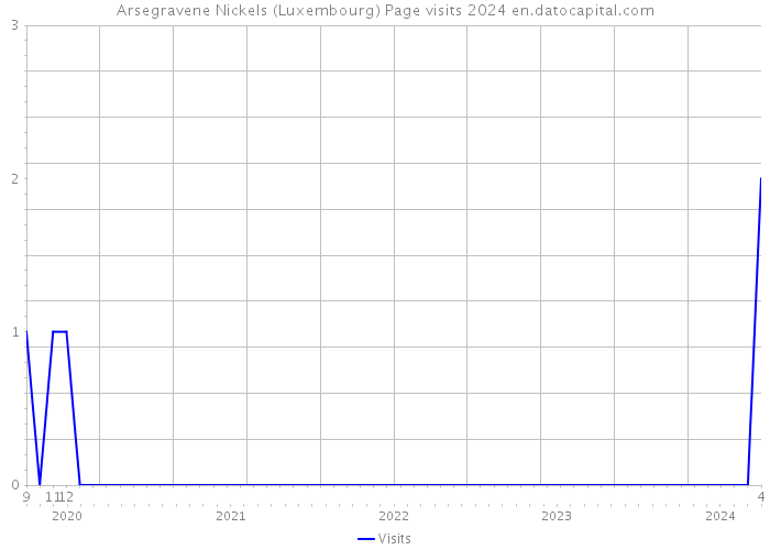Arsegravene Nickels (Luxembourg) Page visits 2024 