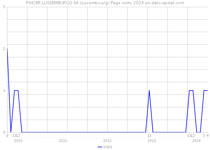 FINCER LUSSEMBURGO SA (Luxembourg) Page visits 2024 